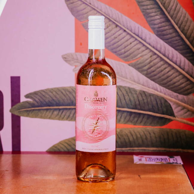 CARMEN DISCOVERY ROSE