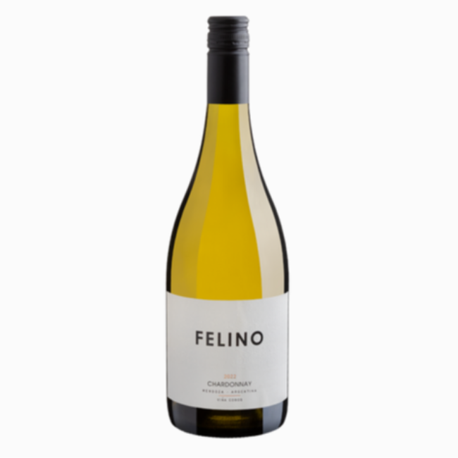 FELINO CHARDONNAY